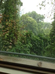 St. Martin Residence (D10), Condominium #80199542